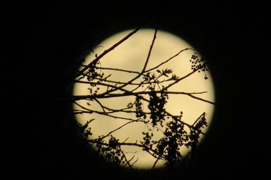 Pousada Luna Zen Pirenópolis Екстериор снимка